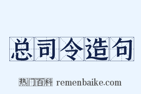 总司令造句是什么意思的图片